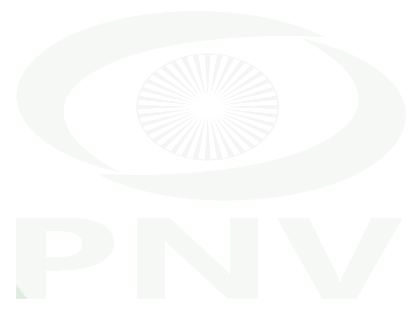 Site du Parti Nouvelle Vision de Guinée